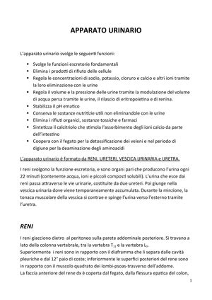 anatomia riassunto libro martini timmons pdf PDF