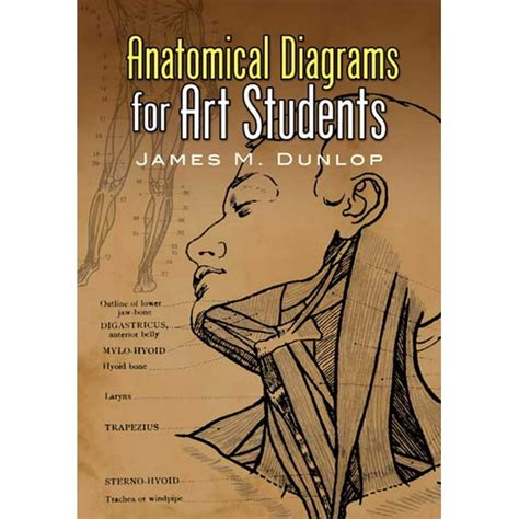 anatomical diagrams for art students dover art instruction Reader