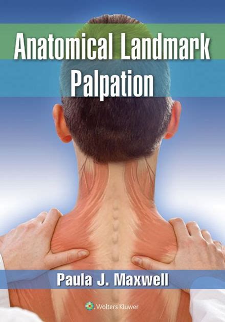 anatomical landmark palpation video and book Reader