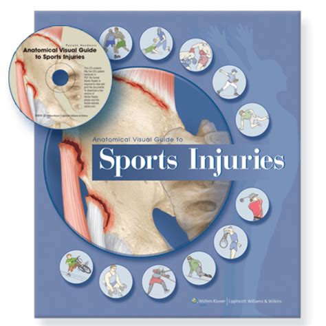 anatomical visual guide to sports injuries Reader