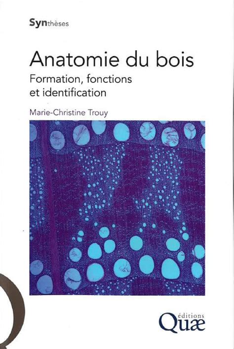 anatomie bois formation fonctions identification Epub