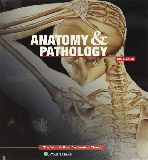 anatomy and pathology the worlds best anatomical charts the worlds best anatomical chart series Reader