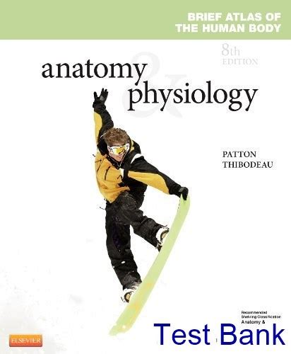 anatomy and physiology 8th edition patton Doc