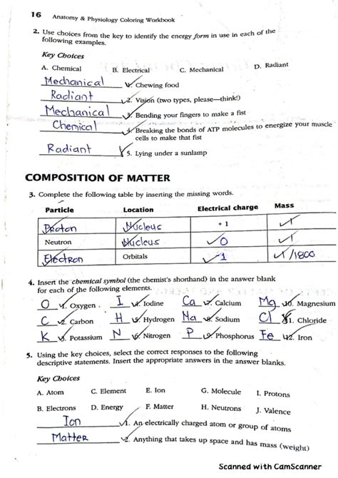 anatomy and physiology coloring workbook answer key chapter 2 Doc