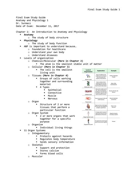 anatomy and physiology final exam study guide Doc