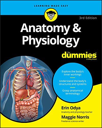 anatomy and physiology for dummies Ebook Epub