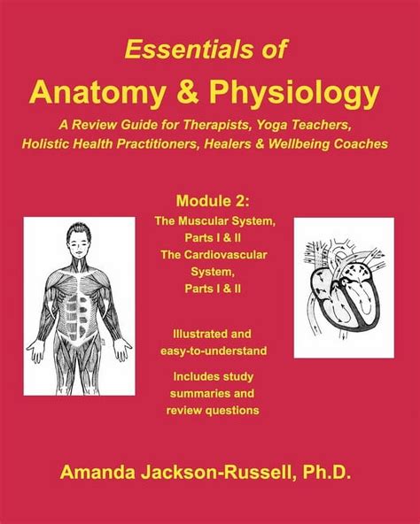 anatomy and physiology for holistic therapists Epub