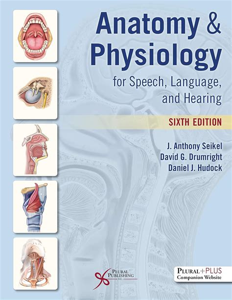 anatomy and physiology for speech language and hearing Doc