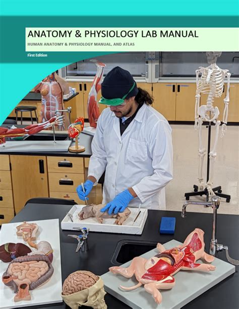 anatomy and physiology lab manual answers dccc PDF