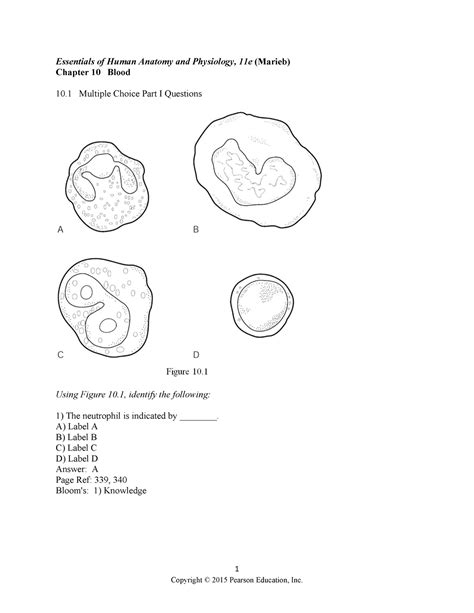 anatomy and physiology marieb answer key blood Reader