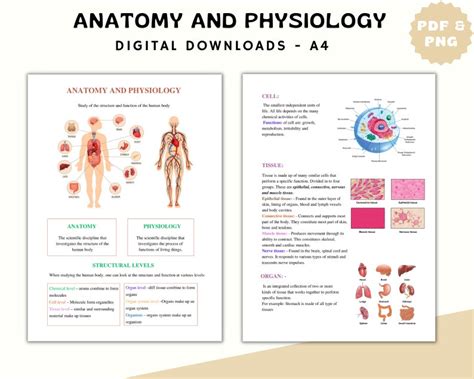 anatomy and physiology notes online Reader