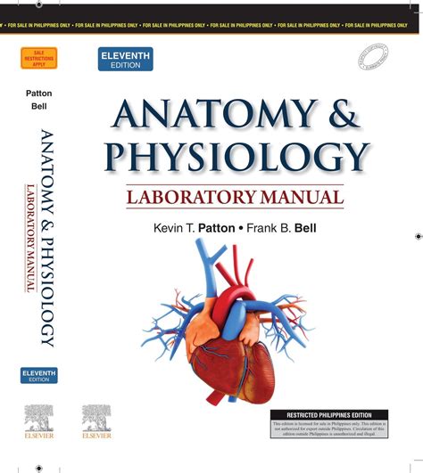 anatomy and physiology patton answer key PDF