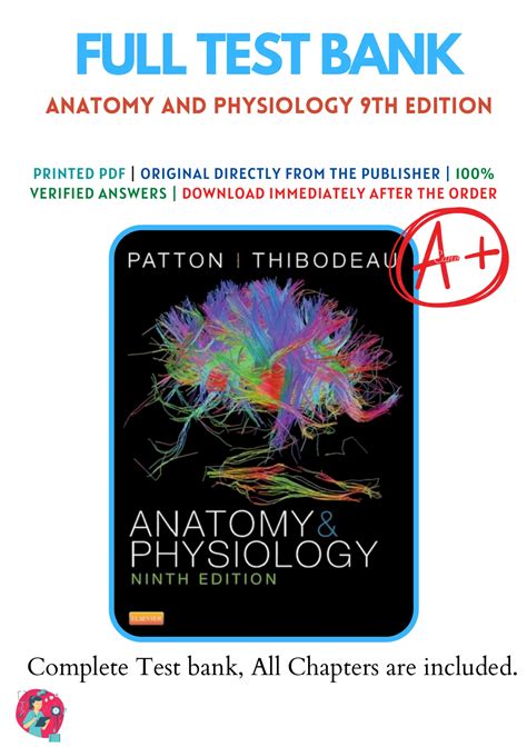 anatomy and physiology patton thibodeau 8th edition test bank Doc