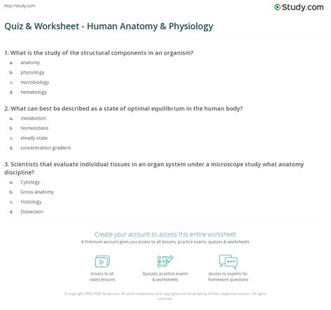 anatomy and physiology quiz