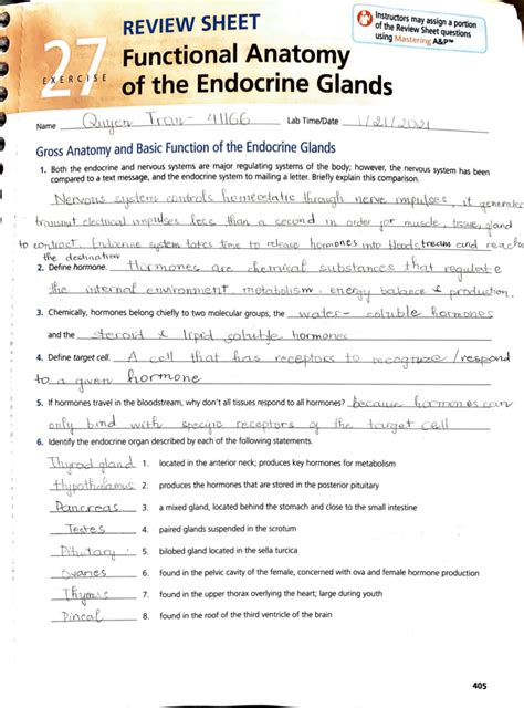 anatomy and physiology review sheet 27 answers Reader