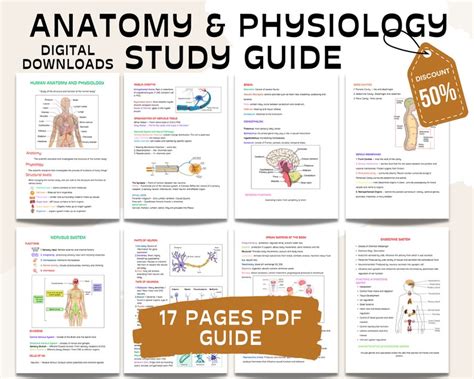 anatomy and physiology study guide Reader