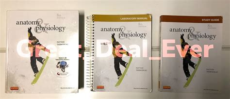 anatomy and physiology thibodeau 8th edition Doc