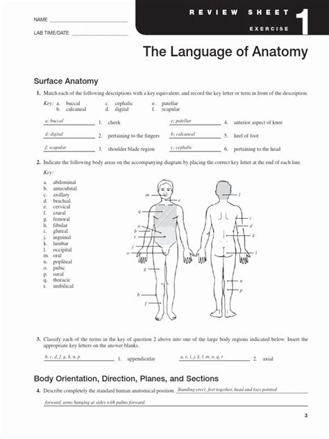 anatomy building the framework answers Doc