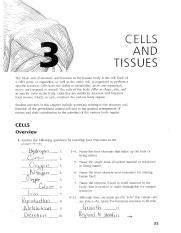 anatomy cells and tissues packet answers Kindle Editon