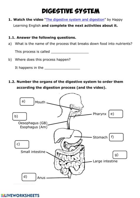 anatomy digestive system mastery test answers PDF