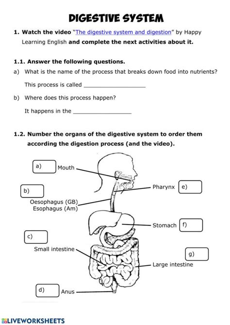 anatomy digestive system mastery test answers PDF