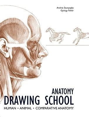 anatomy drawing school human animal comparative anatomy Epub