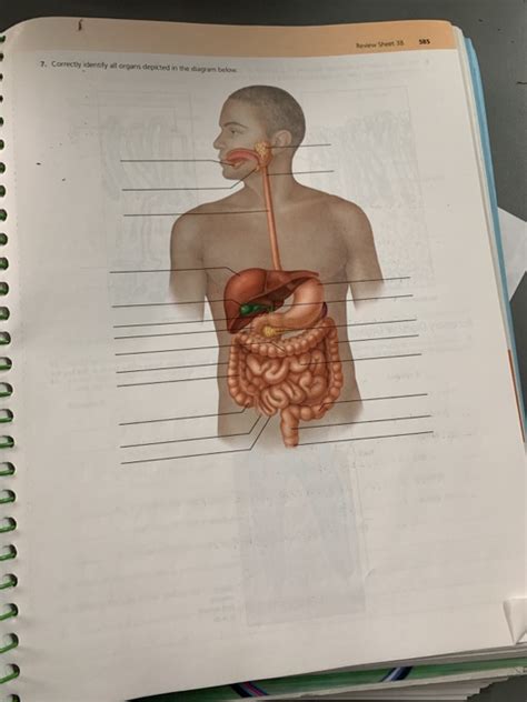 anatomy exercise 38 answers Doc