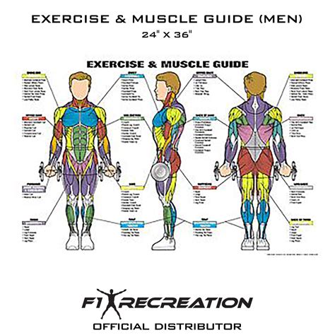 anatomy exercise 38 diagram pdf Reader