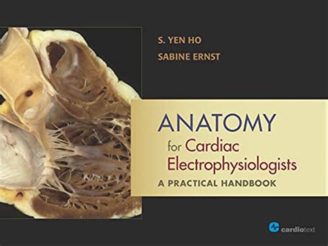 anatomy for cardiac electrophysiologists a practical handbook Doc