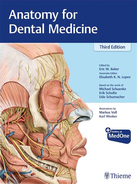 anatomy for dental medicine thieme atlas of anatomy Kindle Editon