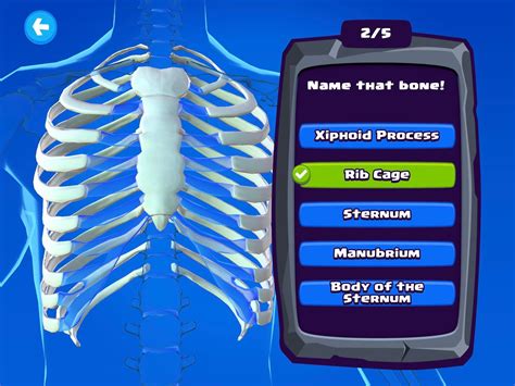 anatomy games for bones PDF