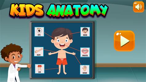anatomy games for free Doc