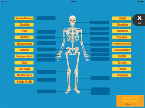anatomy games to learn bones Reader