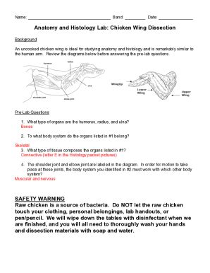 anatomy histology chicken wing answer key Reader