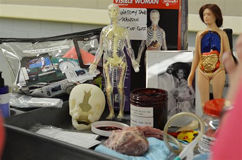 anatomy jane doll amazon uk PDF