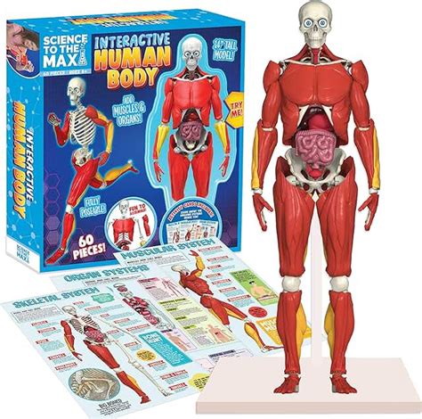 anatomy jane doll website Epub