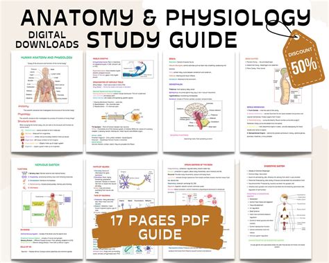 anatomy module 16 study guide answers Kindle Editon