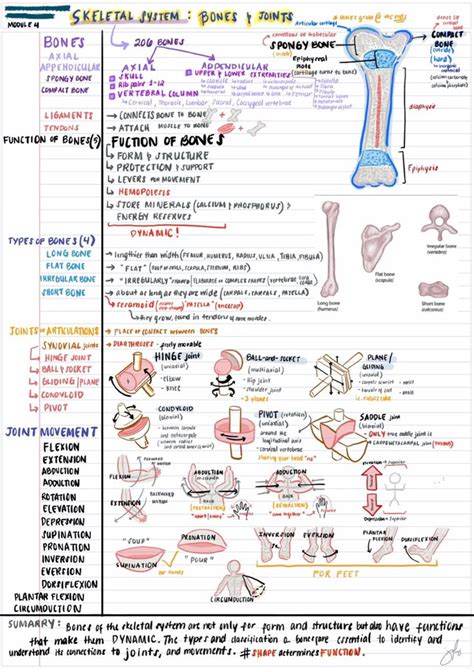 anatomy notes carter center Kindle Editon