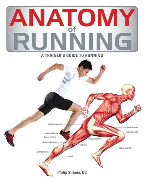 anatomy of running a trainers guide to running Epub