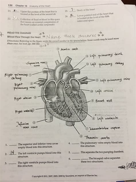 anatomy of the heart answers Kindle Editon