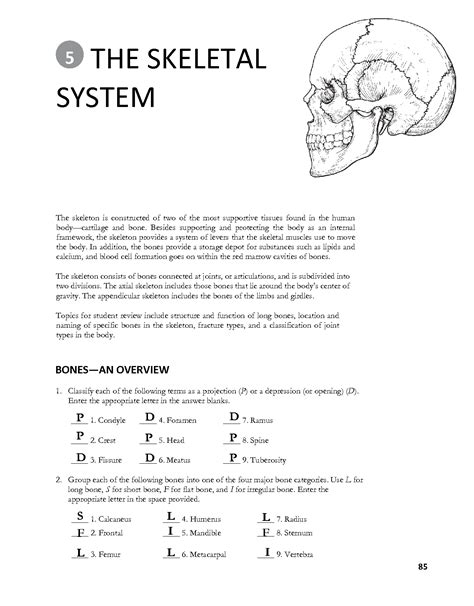 anatomy physiology chapter 7 skeletal system answer key Doc