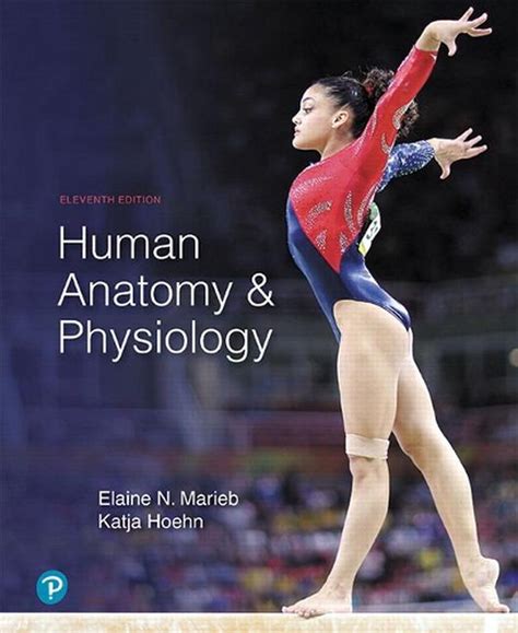 anatomy physiology edition elaine marieb Ebook Kindle Editon