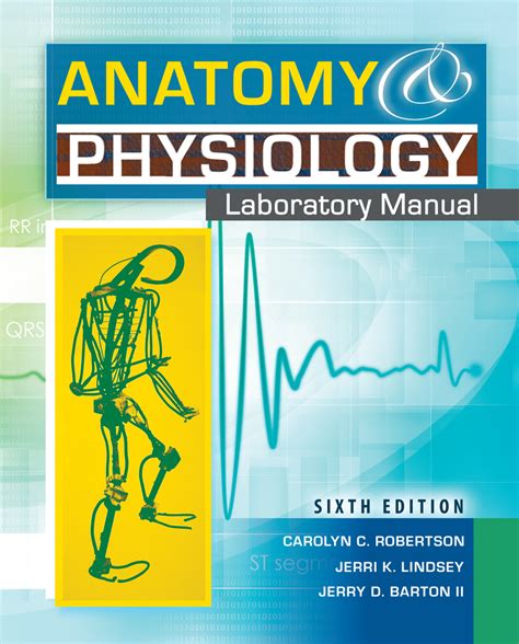 anatomy physiology lab manual martin pdf PDF