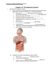 anatomy physiology marieb answer key digestive Epub