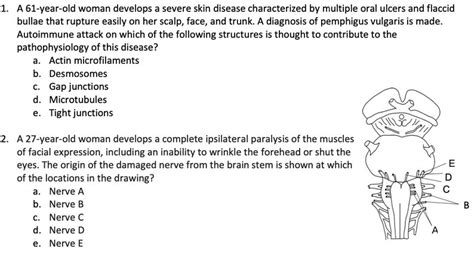 anatomy questions and answers for medical students Kindle Editon