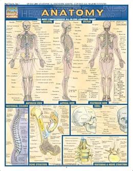 anatomy quickstudy academic Epub