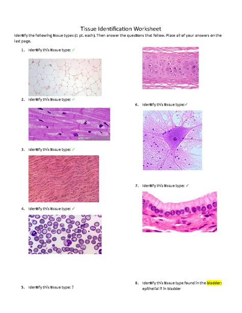anatomy quiz on tissues Epub