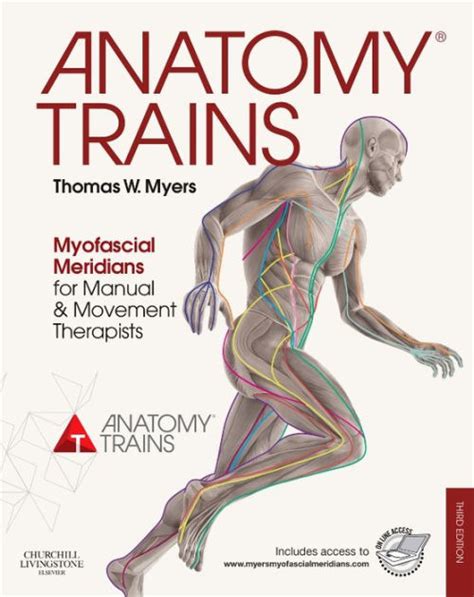 anatomy trains myofascial meridians for manual movement Doc