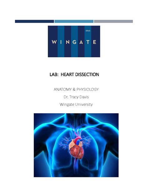 anatomy-lab-heart-dissection-answers Ebook Kindle Editon