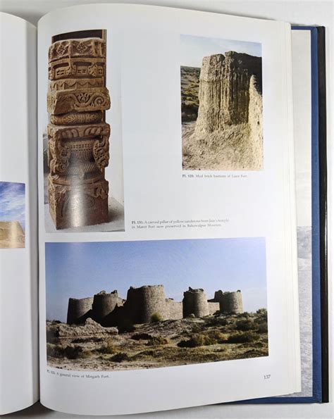 ancient cholistan archaeology and architecture Reader